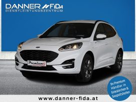 Ford Kuga ST-LINE 225 PS Plug-In Hybrid Automatik (AKTIONSPREIS AB € 37.500,-*) bei BM || Ford Danner PKW in 