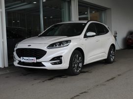 Ford Kuga 2,5 Duratec PHEV ST-Line X Aut. bei BM || Ford Danner PKW in 